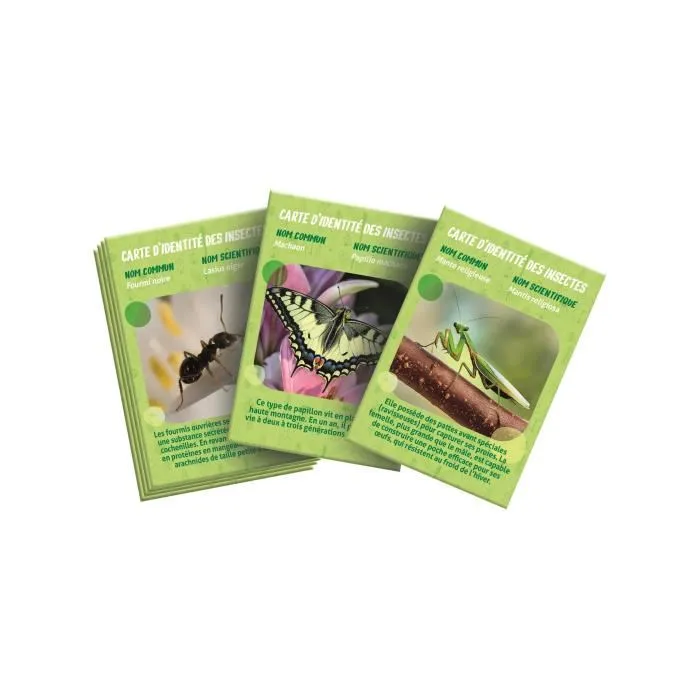 Clementoni CLE52880 La casa de insectos 2