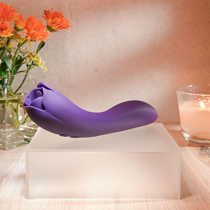Vibrador Evolved Morado 21 Vibrador Evolved Morado 21