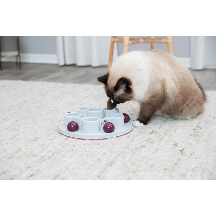 Trixie TRI4011905458953 Juego de Estrategia para Gatos Pentágono ø 28 cm 4