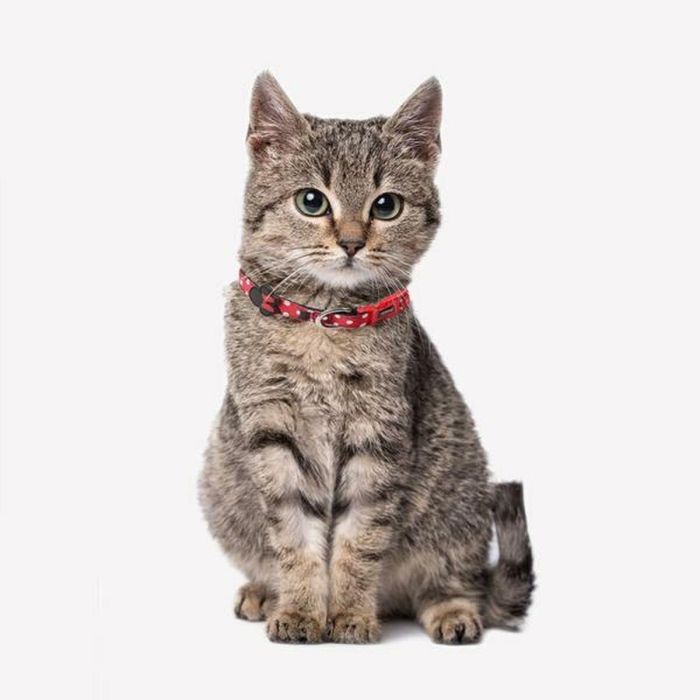 Collar para perros XXS/XS minnie talla XXS-XS 9 Collar para perros XXS/XS minnie talla XXS-XS 9