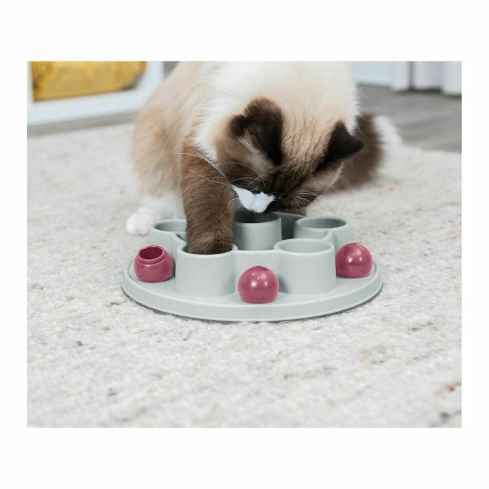Trixie TRI4011905458953 Juego de Estrategia para Gatos Pentágono ø 28 cm 19