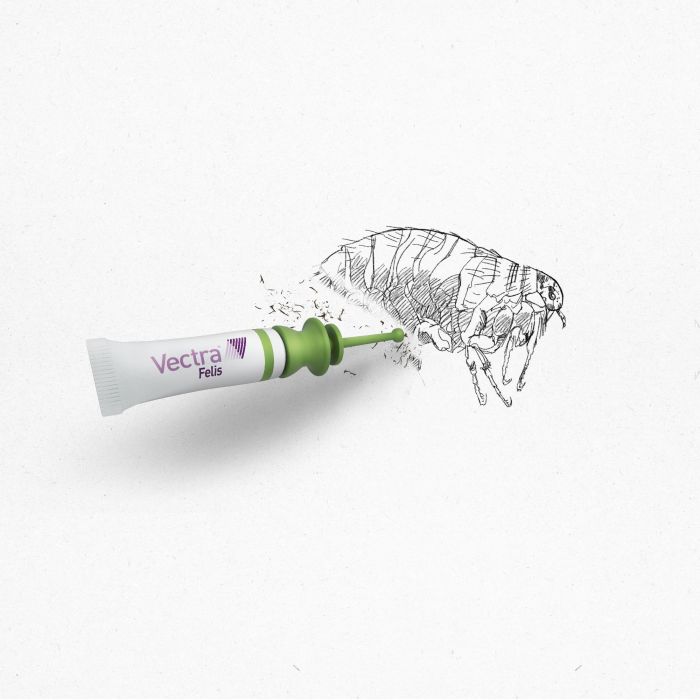 Vectra Felis Pipetas Spot-On para Gatos 0.6-10 kg - Tratamiento Antipulgas Eficaz (2h) & Protección Ambiental 3 Meses, 3 Pipetas 0 Vectra Felis Pipetas Spot-On para Gatos 0.6-10 kg - Tratamiento Antipulgas Eficaz (2h) & Protección Ambiental 3 Meses, 3 Pipetas 0