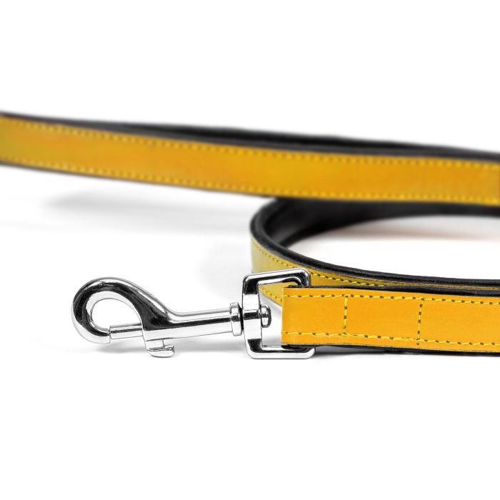 Gloria Correa Piel Auténtica Acolchada para Perro 100 cm x 18 mm, Suave, Mosquetón Robusto Retráctil, 3 Capas, Cosido Reforzado 4 Gloria Correa Piel Auténtica Acolchada para Perro 100 cm x 18 mm, Suave, Mosquetón Robusto Retráctil, 3 Capas, Cosido Reforzado 4