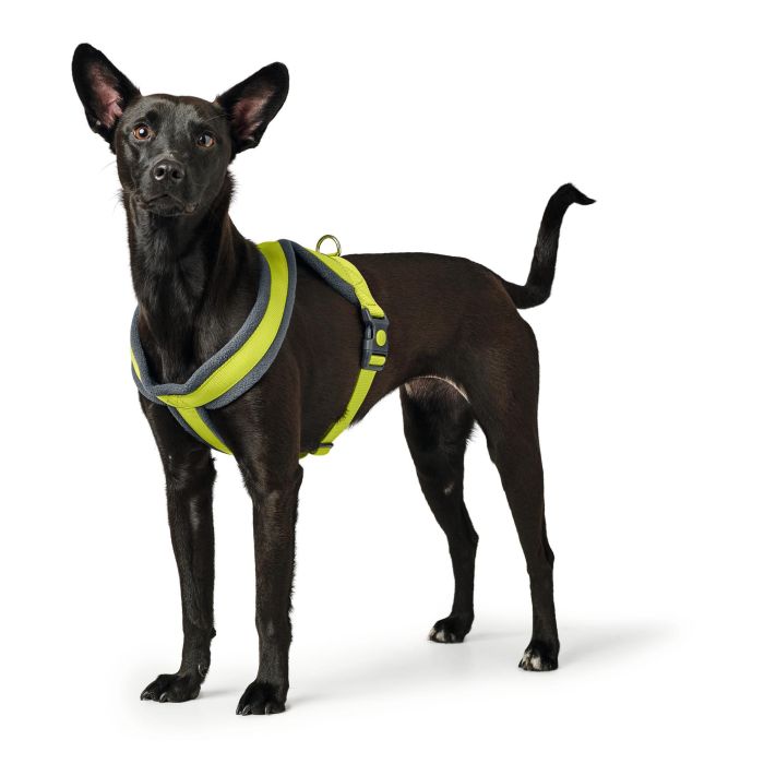 Hunter Arnés London Comfort L/2 para Perro, Talla L (Pecho 73-100 cm), Color Lima - Poliéster Suave, Ajustable, Cierre Seguridad 5 Hunter Arnés London Comfort L/2 para Perro, Talla L (Pecho 73-100 cm), Color Lima - Poliéster Suave, Ajustable, Cierre Seguridad 5