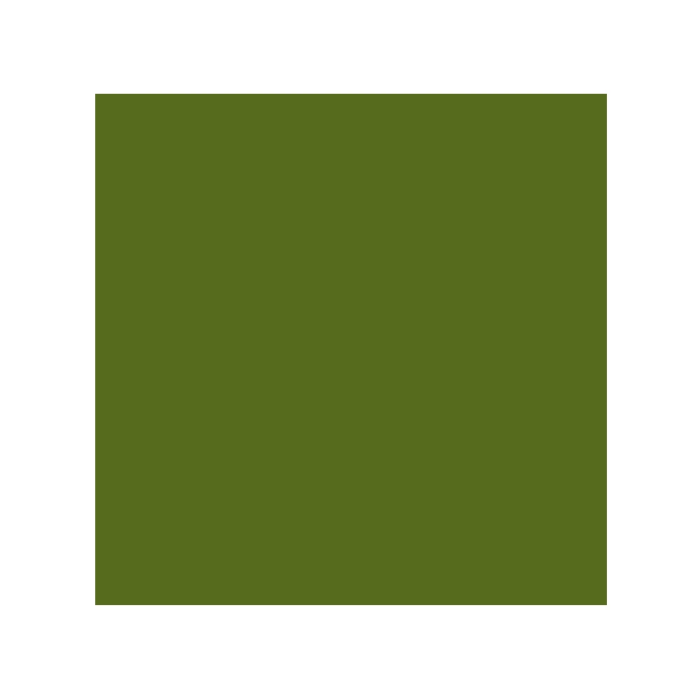 Iris Cartulina Verde Safari 210x297 mm 185 gr -50U- 1