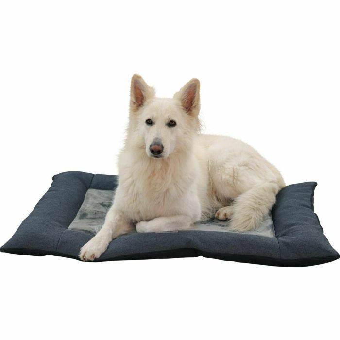 Kerbl AUC1732612272238 - Colchón viscoelástico PLATIN ORTHO para perros, 80x55x9 cm, gris 11 Kerbl AUC1732612272238 - Colchón viscoelástico PLATIN ORTHO para perros, 80x55x9 cm, gris 11