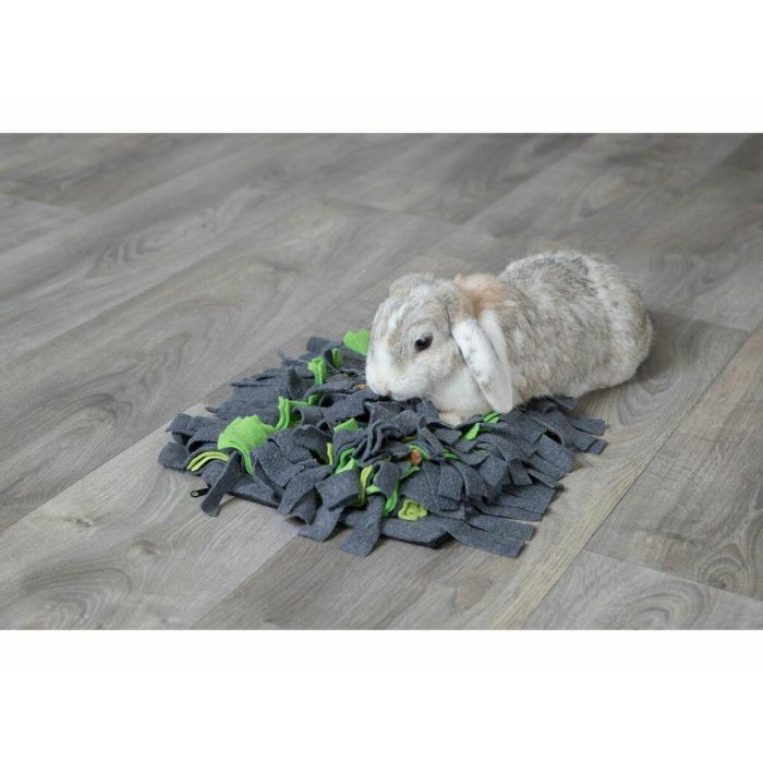 Alfombra Olfativa para Mascotas Trixie Verde Gris Poliéster 27 × 20 CM 2