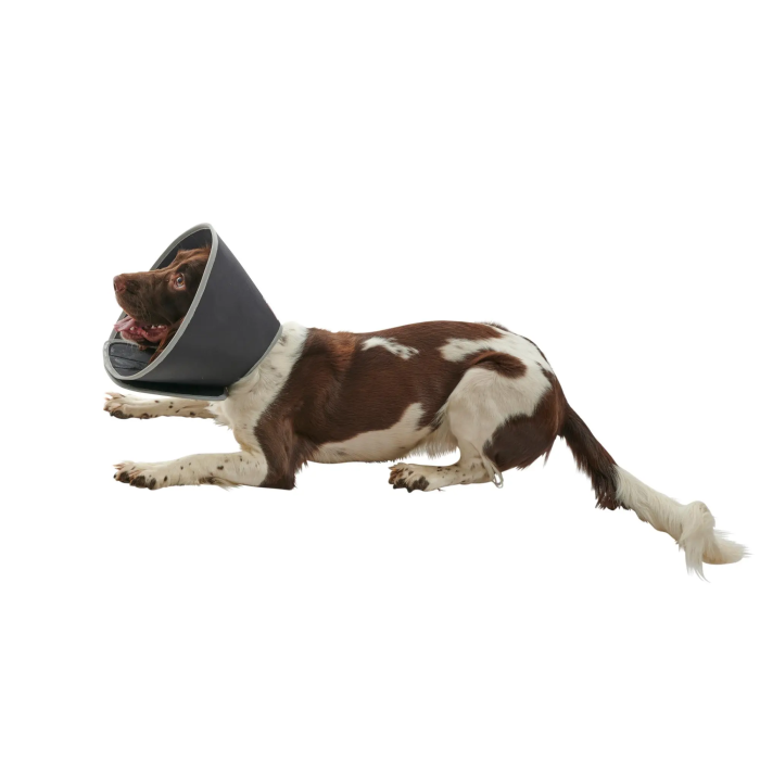 Collar Isabelino Foam Buster 15 cm 5 Unidades Kruuse Collar Isabelino Foam Buster 15 cm 5 Unidades Kruuse
