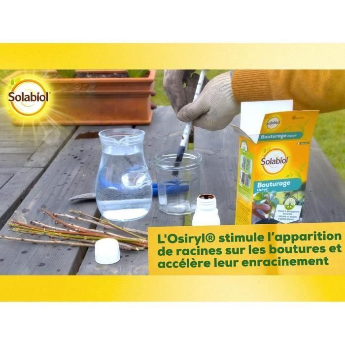 SOLABIOL SOBOUTU40 Osiryl corte - 40 ml 4 SOLABIOL SOBOUTU40 Osiryl corte - 40 ml 4