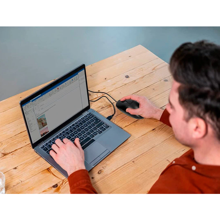 Q-connect Ratón Óptico 800 DPI USB Negro Con Cable 5