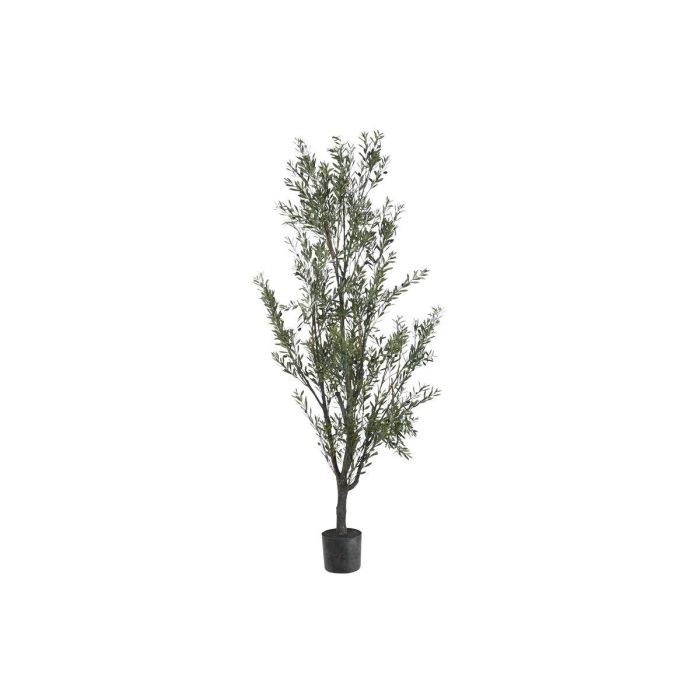DKD Home Decor Árbol de Olivo Verde para Decoración del Hogar – Material PE, Dimensiones 210 cm Alto x 80 cm Ancho x 80 cm Fondo 0 DKD Home Decor Árbol de Olivo Verde para Decoración del Hogar – Material PE, Dimensiones 210 cm Alto x 80 cm Ancho x 80 cm Fondo 0