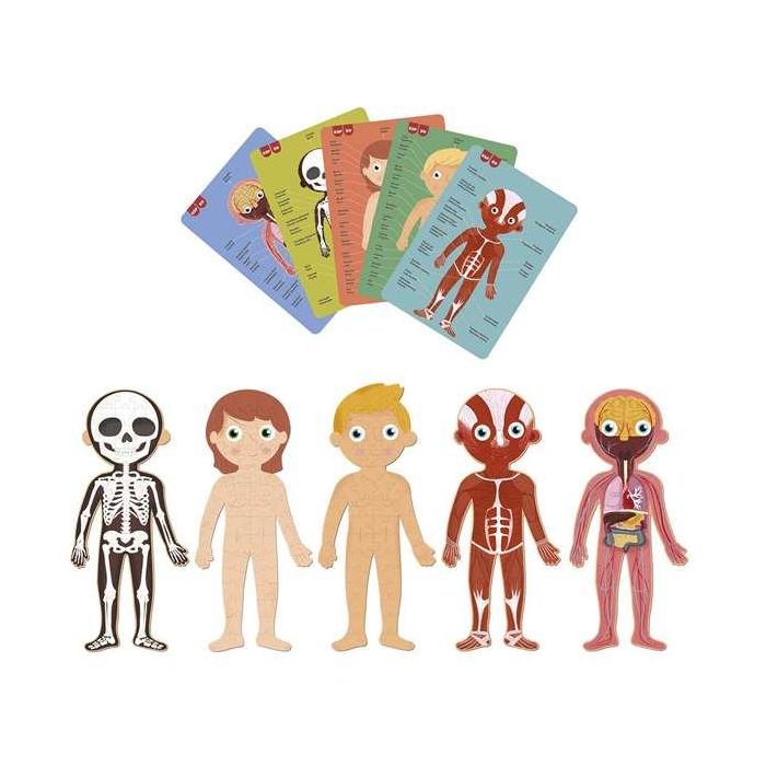 Puzle Cuerpo Humano 240 Piezas R.19438 Apli 3 Puzle Cuerpo Humano 240 Piezas R.19438 Apli 3