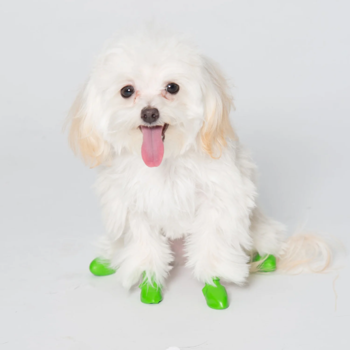 Pawz Botas para Perro Impermeables de Goma Natural Biodegradable Talla Tiny Verde - Pack 12 Unidades para Patas Calientes y Nieve 1 Pawz Botas para Perro Impermeables de Goma Natural Biodegradable Talla Tiny Verde - Pack 12 Unidades para Patas Calientes y Nieve 1