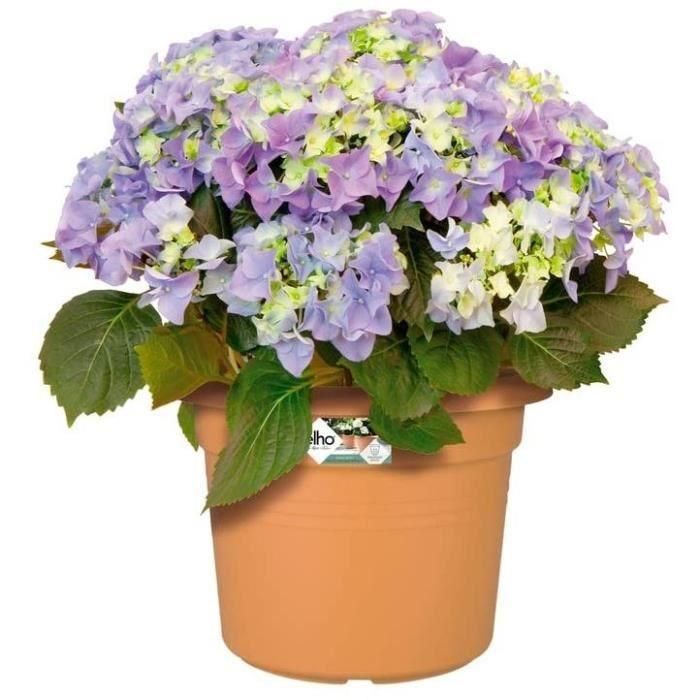 Vibras de maceta de flores redondas - Plastic - Ø30 - Polvo de rosa 2 Vibras de maceta de flores redondas - Plastic - Ø30 - Polvo de rosa 2