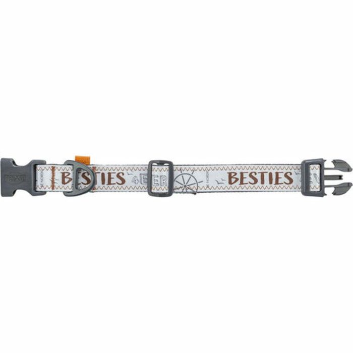 Collar para Perro Trixie CityStyle Gris XS/S 25-36 cm 1