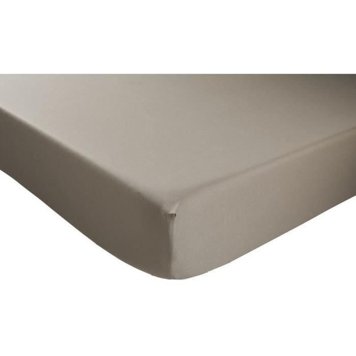 Portada de cubierta de Dodo - Antibacteriens - Taupe - 140x190 cm - Bonnet 32 ??cm 1 Portada de cubierta de Dodo - Antibacteriens - Taupe - 140x190 cm - Bonnet 32 ??cm 1