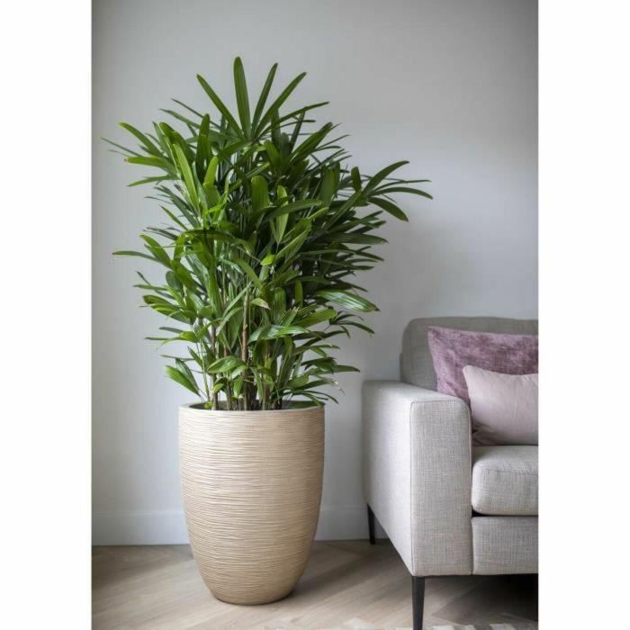 Capi Europe Jarrón bajo elegante WASTE RIB NL 46 x 58 cm Terrazo beige