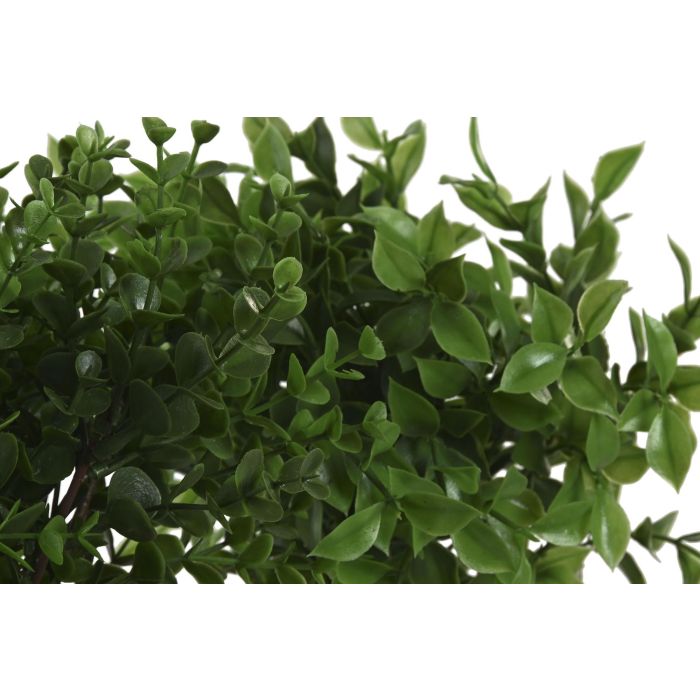 Planta  DKD Home Decor Verde Natural 25.5 x 28 x 25.5 cm (6 Unidades) 1