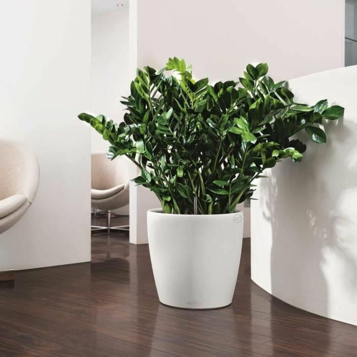 Lechuza LEC4008789132307 Jardiniere Classico Color 43 Todo en Uno Blanco 13230 2 Lechuza LEC4008789132307 Jardiniere Classico Color 43 Todo en Uno Blanco 13230 2