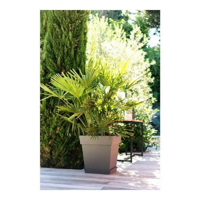EDA Maceta Cuadrada Toscana 50 cm - 87 L - Taupe | Anti-UV, Resistente a Heladas, Con Retención de Agua | Para Interior y Exterior 2