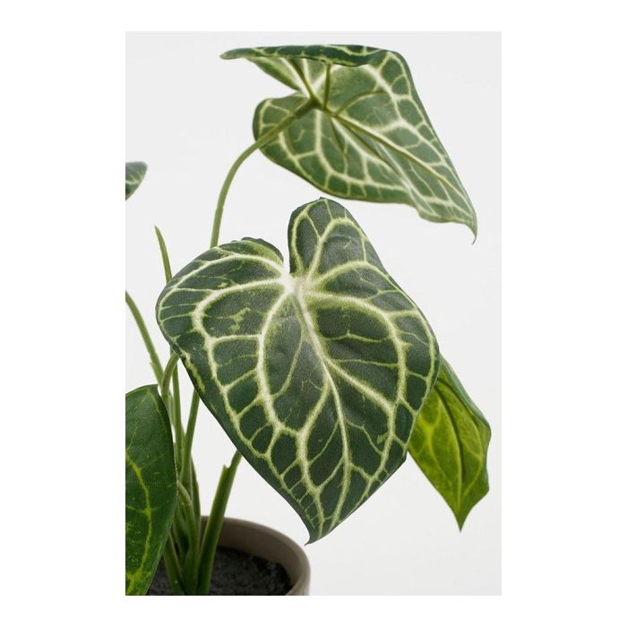 Planta artificial caladium "oreja de elefante" verde con maceta ø21x28cm 1