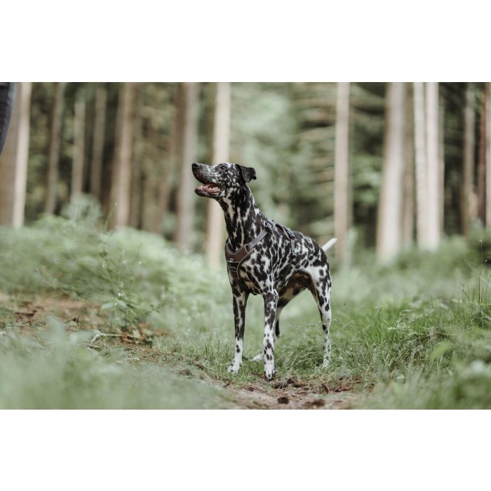 Arnés para Perro Hunter Divo 52-68 cm Marrón Talla S/M Arnés para Perro Hunter Divo 52-68 cm Marrón Talla S/M