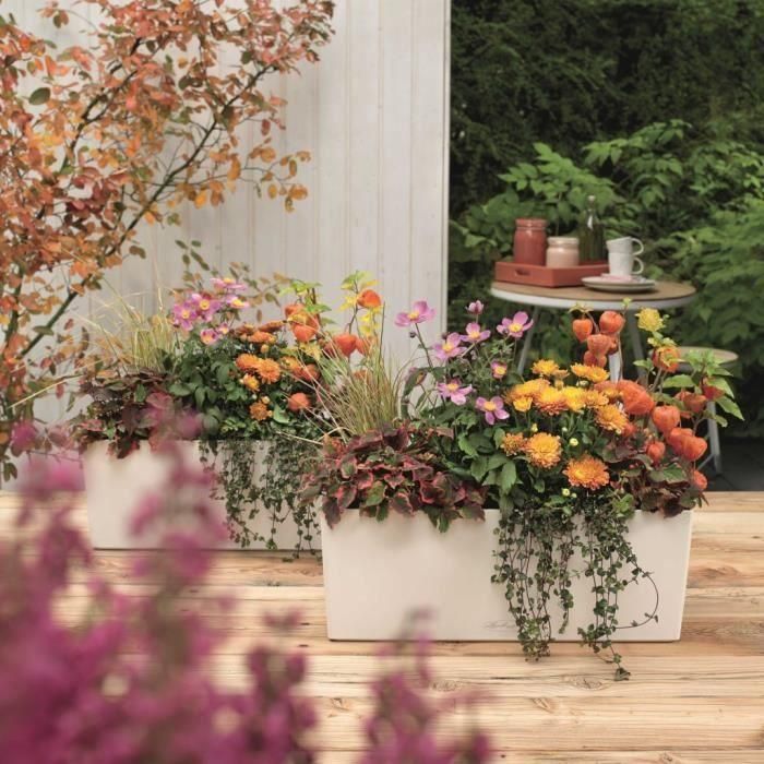 Lechuza 15670 LEC4008789156709 Jardinera Balconera Color 50 Todo en Uno Blanca 3 Lechuza 15670 LEC4008789156709 Jardinera Balconera Color 50 Todo en Uno Blanca 3