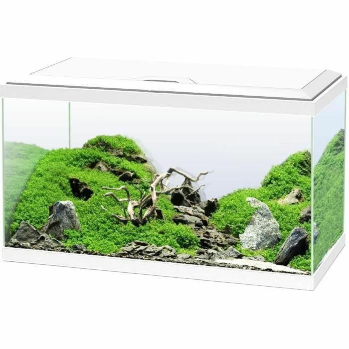 Ciano Acuario 60 - 58 L - Kit completo con Filtro, Iluminación LED, Calentador y Consumibles para Agua Salada - Blanco Ciano Acuario 60 - 58 L - Kit completo con Filtro, Iluminación LED, Calentador y Consumibles para Agua Salada - Blanco