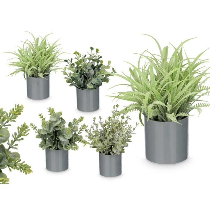 Ibergarden Maceta Cilindro Hojas Verde Surtidos 10x18x10 cm (Set de 36)