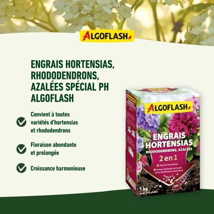 Fertilizantes de Hyesiah, rododendros y azaleas - Algoflash Naturasol - Ph Special - 1 kg 2