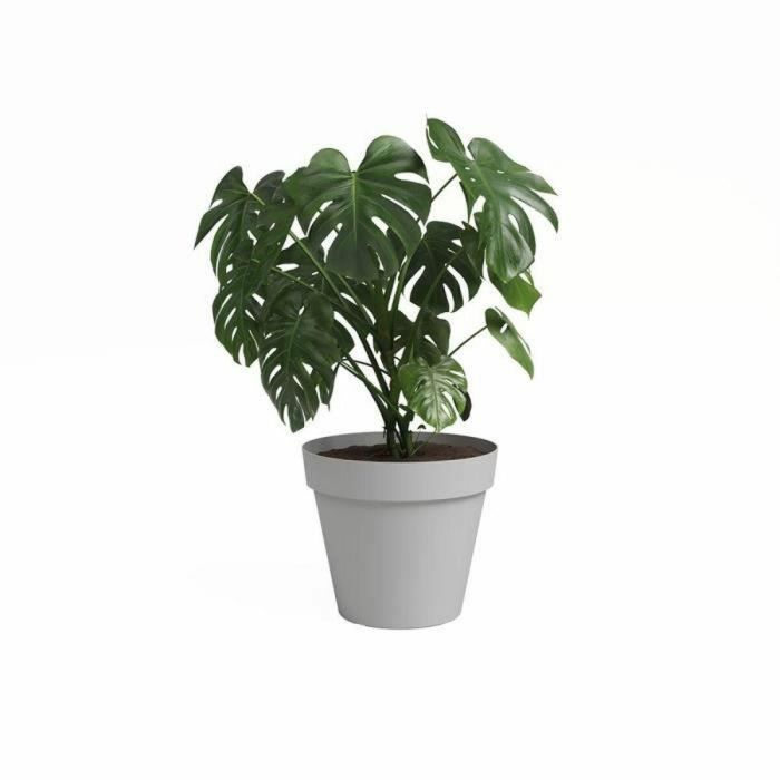 Macetero Artevasi CAPRI Gris claro Ø 40 cm 1 Macetero Artevasi CAPRI Gris claro Ø 40 cm 1