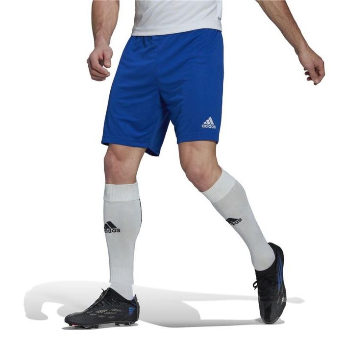 Pantalón de Entrenamiento de Fútbol para Adultos Adidas Ent22 Azul XL 5