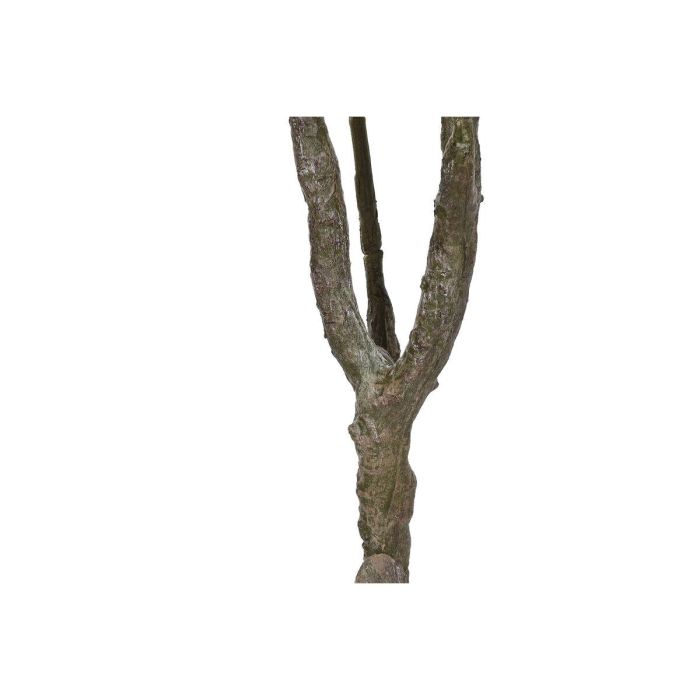 Arbol Tropical DKD Home Decor Blanco Verde 80 x 150 x 80 cm 2 Arbol Tropical DKD Home Decor Blanco Verde 80 x 150 x 80 cm 2