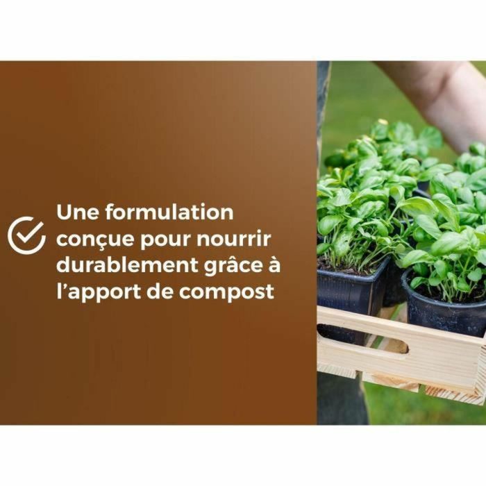 Or Brun OBRTARO6U Tierra para hortalizas y plantas aromáticas 6L - Crecimiento rápido 1 Or Brun OBRTARO6U Tierra para hortalizas y plantas aromáticas 6L - Crecimiento rápido 1