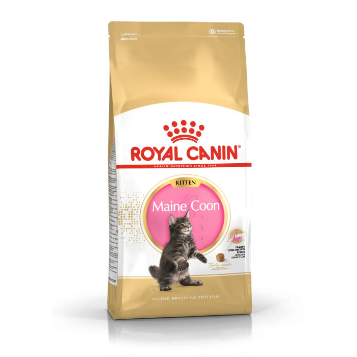 Royal Canin Royal Feline Kitten Maine Coon 4 kg