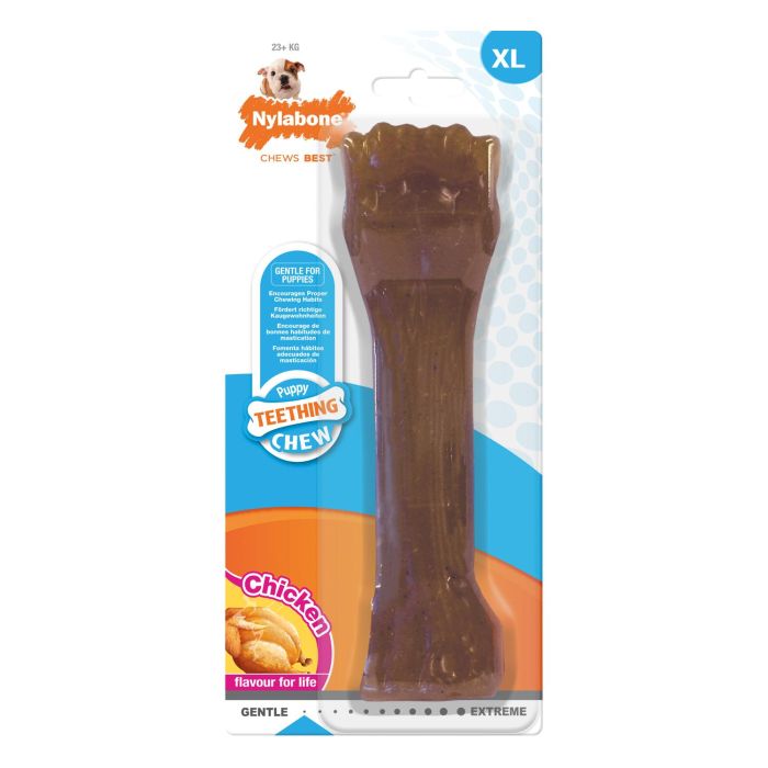 Nylabone Puppy Bone XL 1