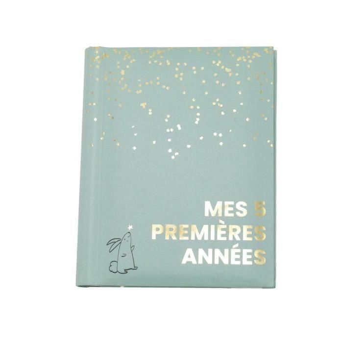 Domiva DOM3700948337424 Libro de nacimiento Sauge Gold - Primeros 5 años - 100 páginas ilustradas