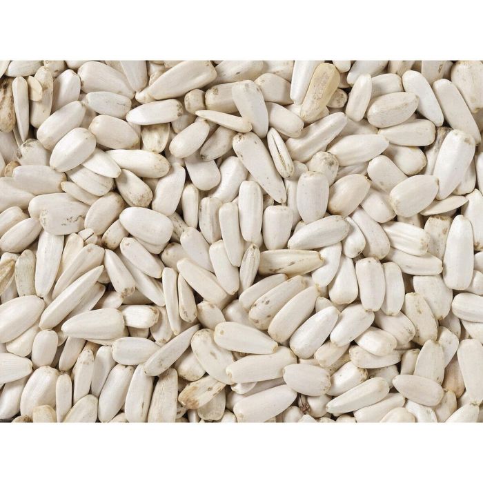 Comida para pájaros Deli Nature 2 Kg Pipas de Girasol 2