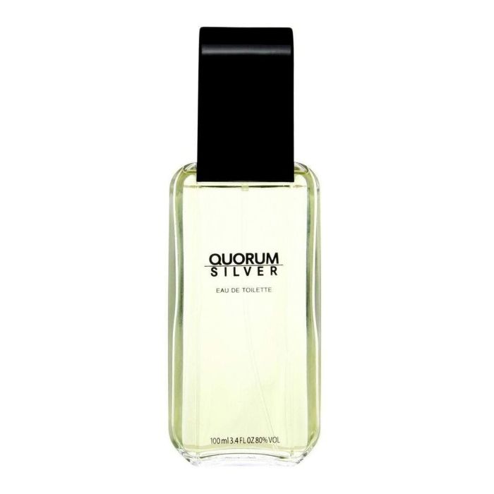 Perfume Hombre Antonio Puig EDT Silver Quorum 100 ml 1