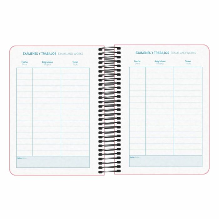 Agenda DOHE DP MEMORY BASIC Rosa A6 12 x 17 cm 2024-2025 2