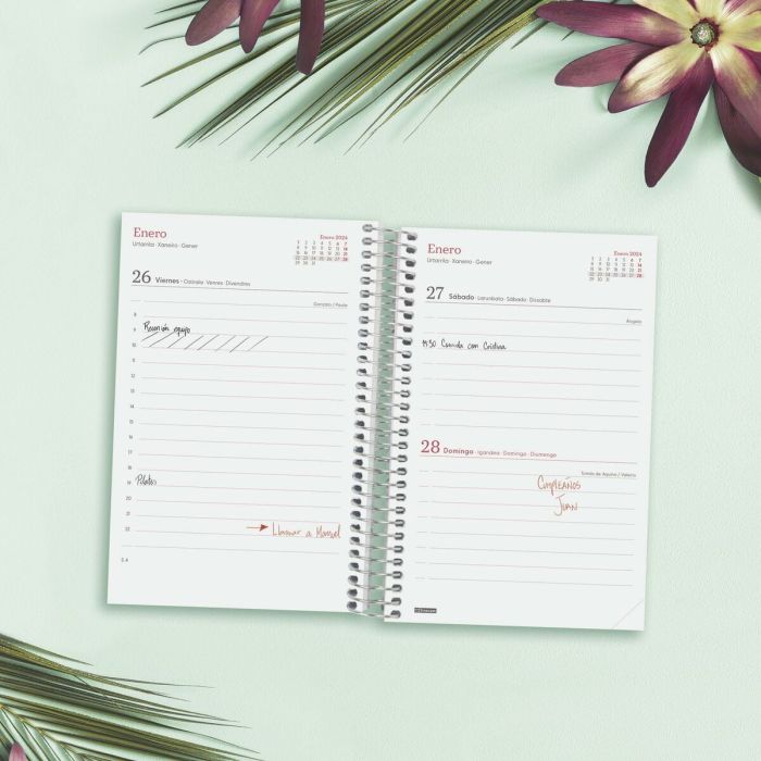 Agenda Finocam Design Collection Ahora 2024 Multicolor 11,7 x 18,1 cm 2 Agenda Finocam Design Collection Ahora 2024 Multicolor 11,7 x 18,1 cm 2