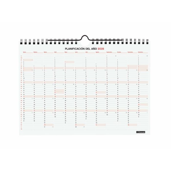 Calendario de pared Finocam Papel 2024-2025 21 x 15 cm 16 Meses 2