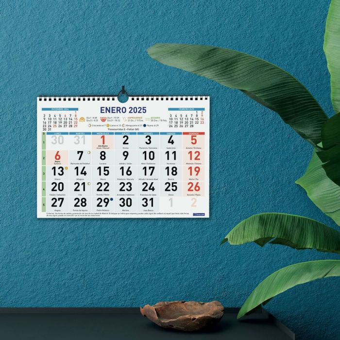 Calendario de pared Finocam Multicolor Papel 2025 30 x 21 cm 3