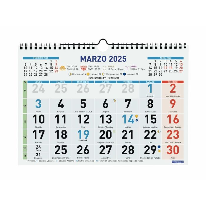 Calendario de pared Finocam Multicolor Papel 2025 30 x 21 cm 2