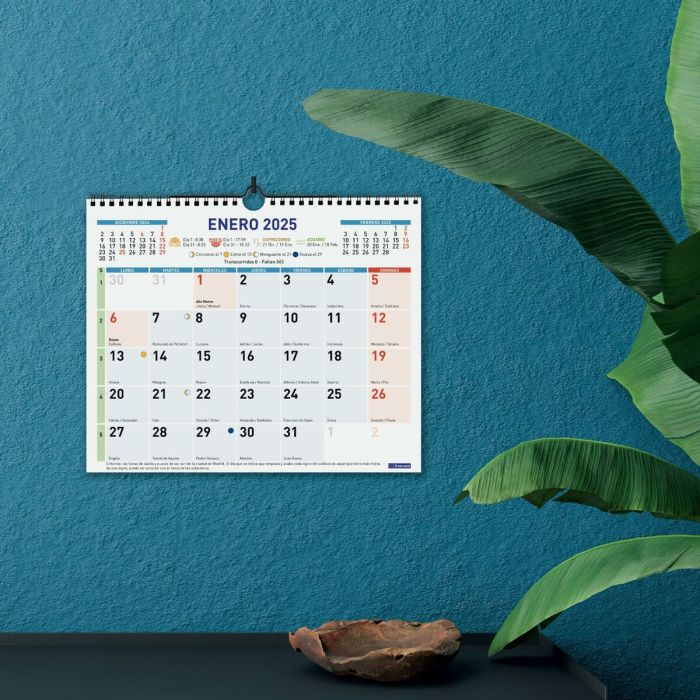 Calendario de pared Finocam Multicolor Papel 2025 30 x 24,7 cm 3