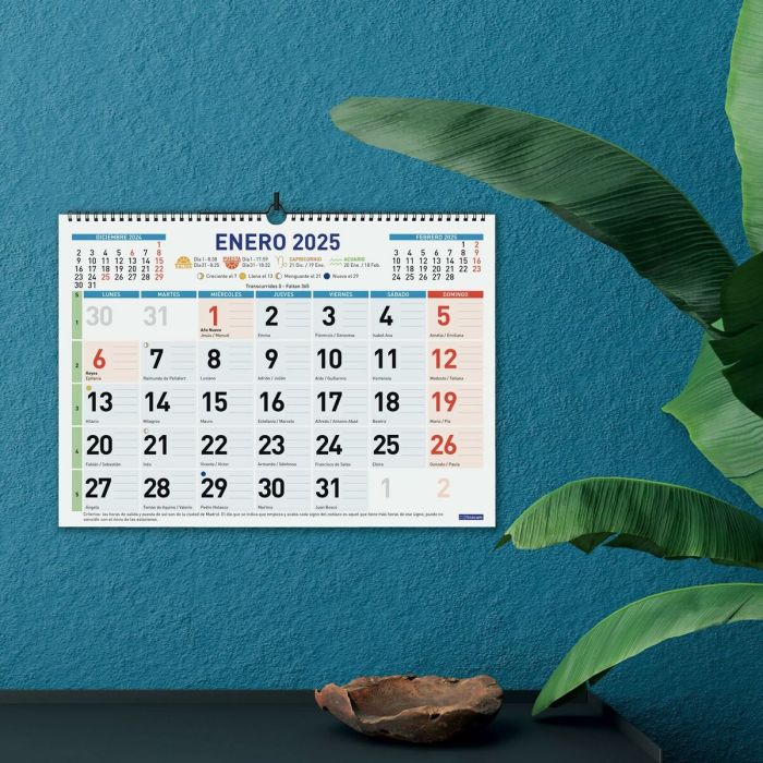 Calendario de pared Finocam Multicolor Papel 2025 43 x 31 cm 3