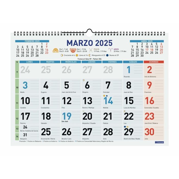 Calendario de pared Finocam Multicolor Papel 2025 43 x 31 cm 2