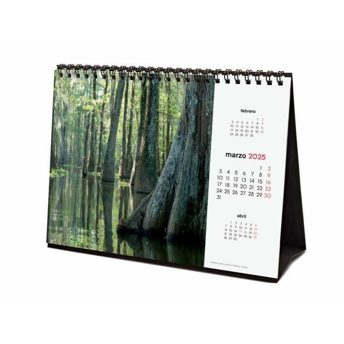 Calendario de Sobremesa Finocam NATURALEZA IMPACTANTE Multicolor Papel 21 x 15 cm 2025 3