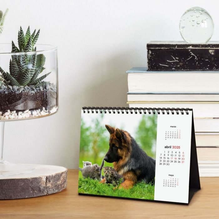 Calendario de Sobremesa Finocam PERROS Y GATOS Multicolor Papel 21 x 15 cm 2025 5