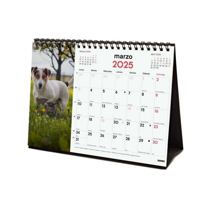 Calendario de Sobremesa Finocam PERROS Y GATOS Multicolor Papel 21 x 15 cm 2025 4